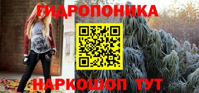 ПСИЛОЦИБИНОВЫЕ ГРИБЫ Лесосибирск