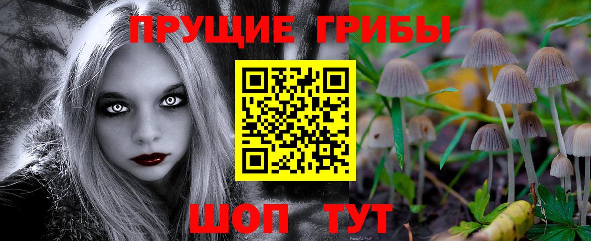 Псилоцибиновые грибы Psilocybe Старая Купавна