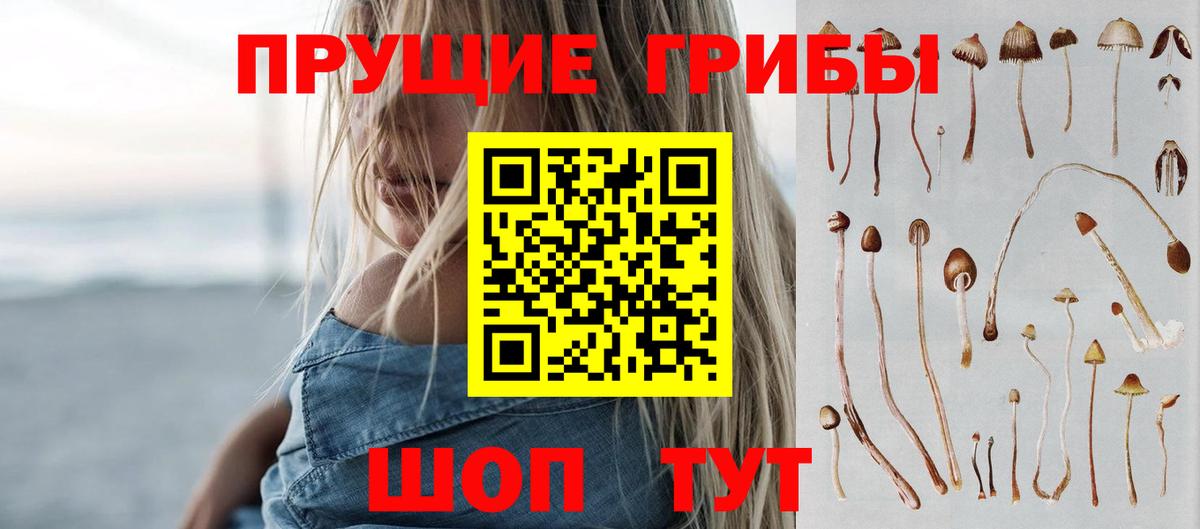 Старая Купавна  купить  цена  Вход с VPN  Галлюциногенные грибы Cubensis  Псилоцибиновые грибы ЛСД 